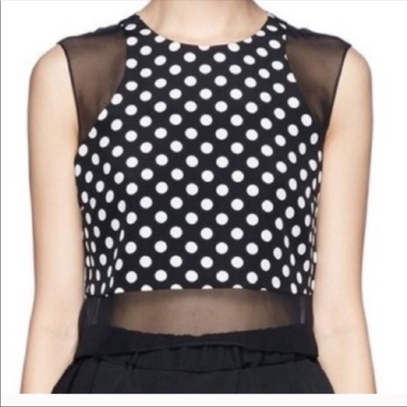 Elizabeth and James Enno Polka Dot Silk Crop Top - Picture 3 of 10
